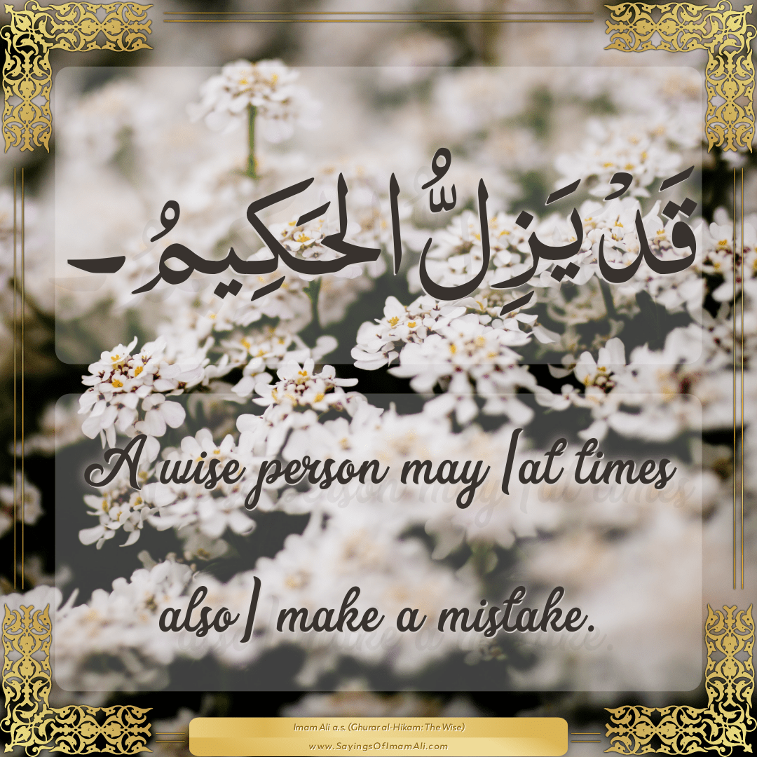 A wise person may [at times also] make a mistake.